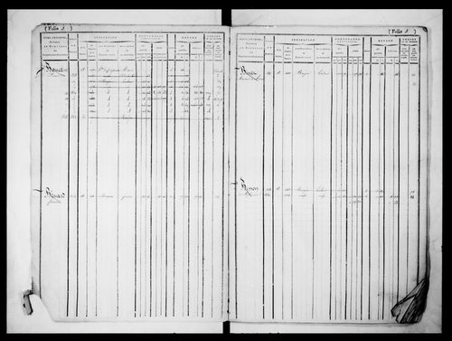 matrice cadastrale des propriétés foncières (bâties et non bâties)