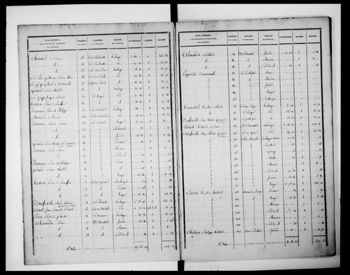 état de section