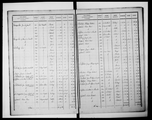 état de section