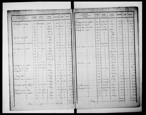 état de section