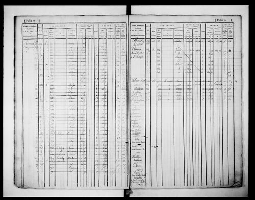matrice cadastrale des propriétés foncières (bâties et non bâties), 1er volume