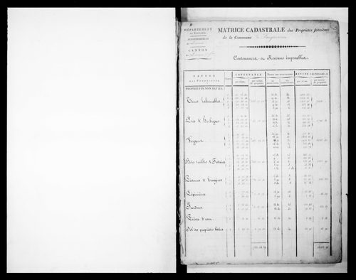 matrice cadastrale des propriétés foncières (bâties et non bâties)