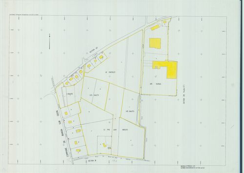 AE