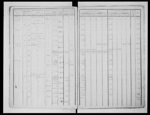 état de section