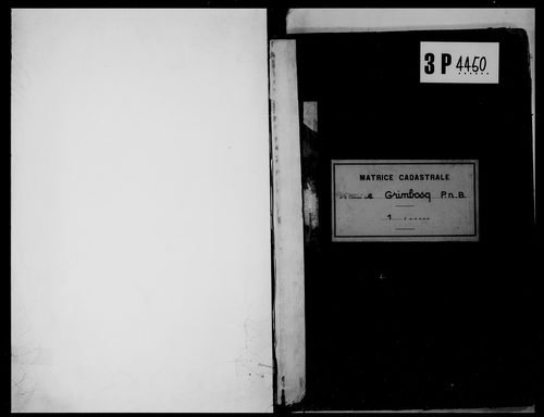matrice cadastrale des propriétés non bâties