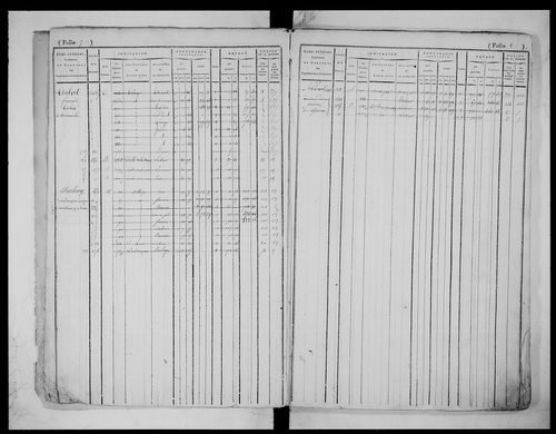 matrice cadastrale des propriétés foncières (bâties et non bâties), 1823-1913, 1er vol. (folios 1-435)
