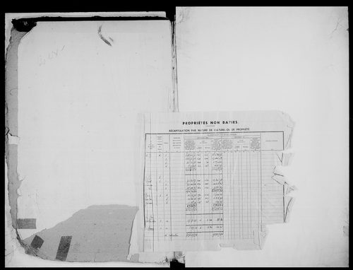 matrice cadastrale des propriétés non bâties, 1913-1972, 1er vol. (folios 1-488)