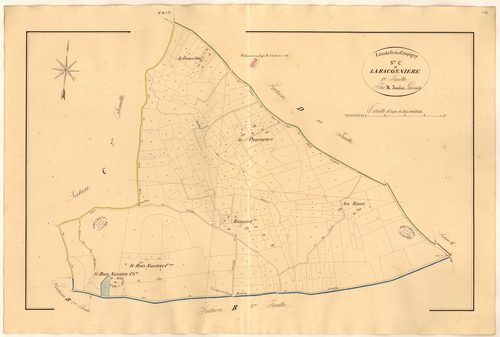 Section C1 de la Baconnière