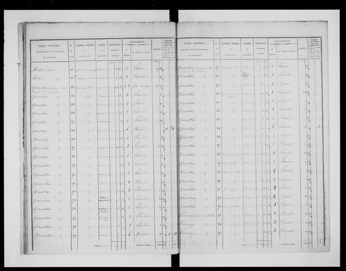 état de section (1833)