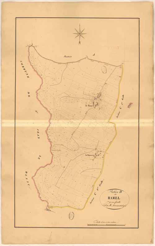 Section D du Hamel