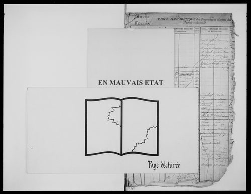 matrice cadastrale des propriétés foncières (bâties et non bâties)