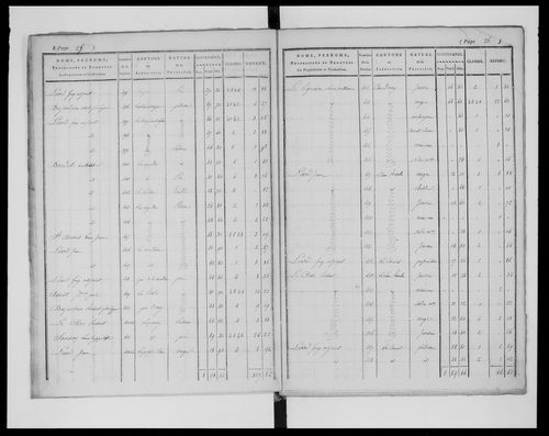 état de section
