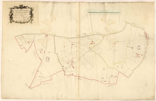 Section E du Bois Roulard