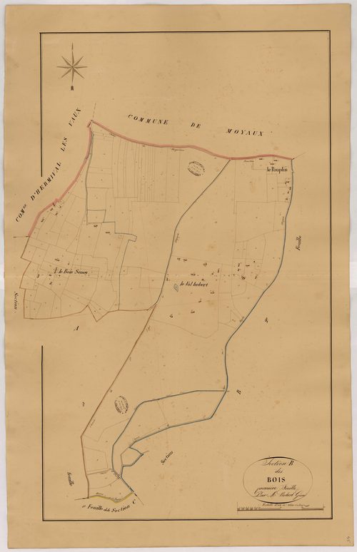 Section B1 des Bois
