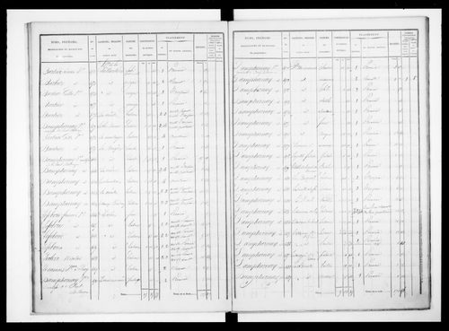 état de section