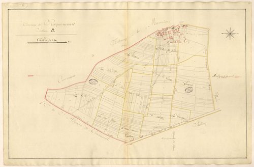 Section B