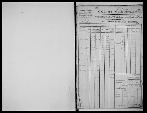 matrice cadastrale des propriétés foncières (bâties et non bâties)