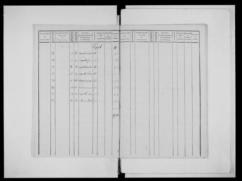 état de section