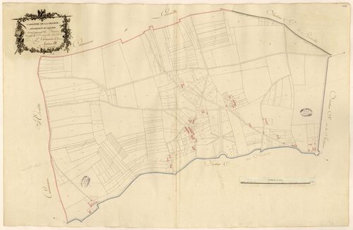 Section D de la Broquette