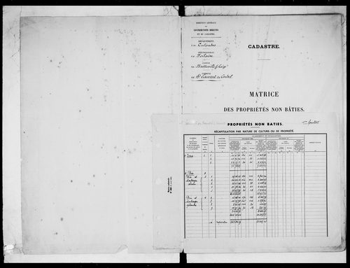 matrice cadastrale des propriétés non bâties