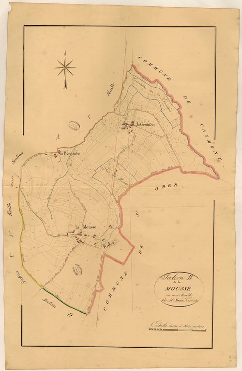 Section B de la Mousse