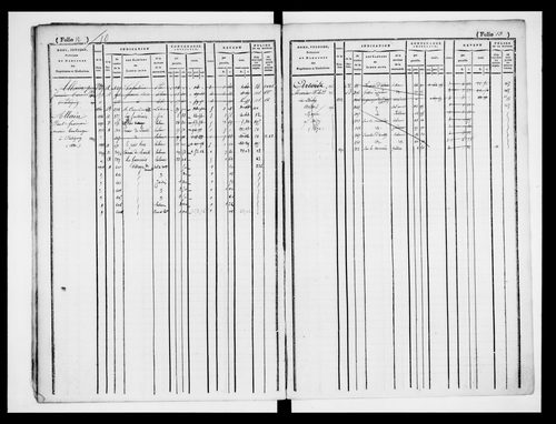 matrice cadastrale des propriétés foncières (bâties et non bâties)