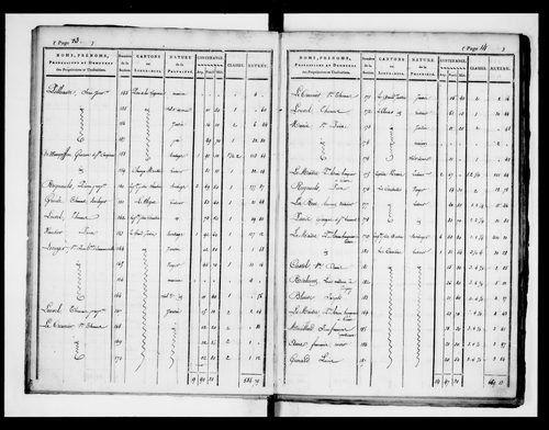 état de section
