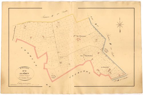 Section C3 1ère subdivision de la Forêt