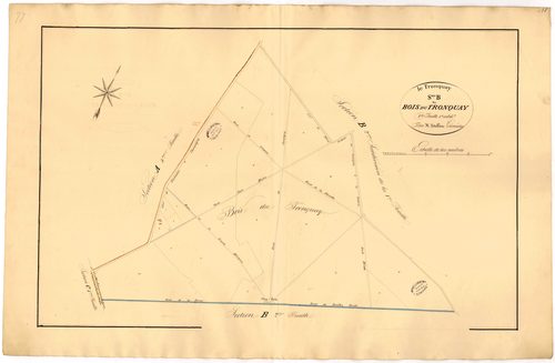 Section B1 1ère subdivision du Bois du Tronquay