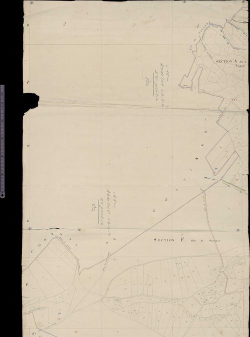 Section A dite du Viallard et F dite du Saillans
