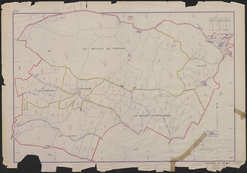 Section AP