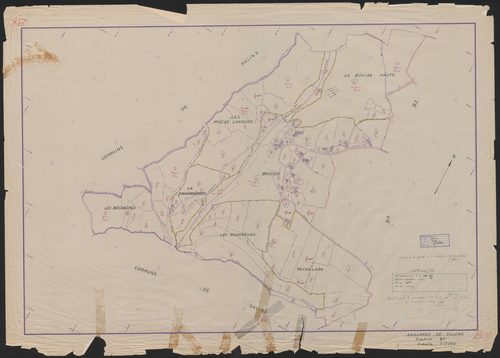 Section BY