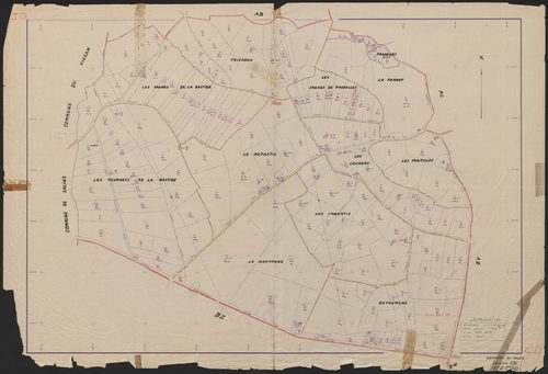 Section CD