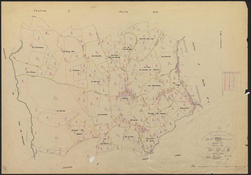 Section C3
