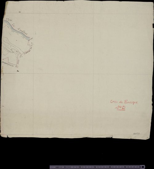 Section D