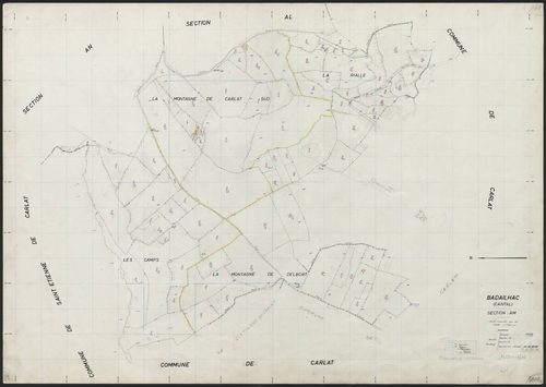 Section AM