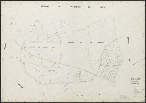 Section AN