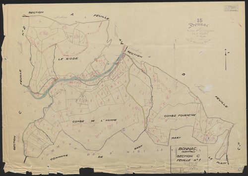Section C1