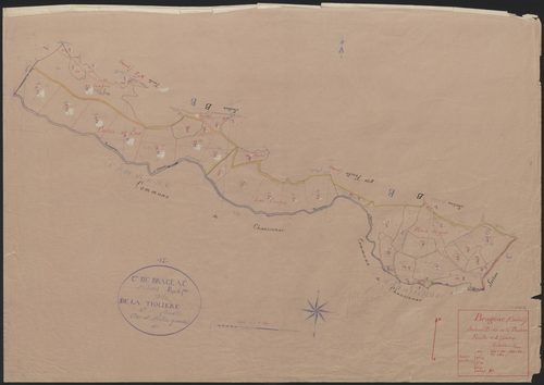 Section B dite de la Thiollière : 2e feuille partie (n° 286 à 302, 328 à 334, 373 à 382)
