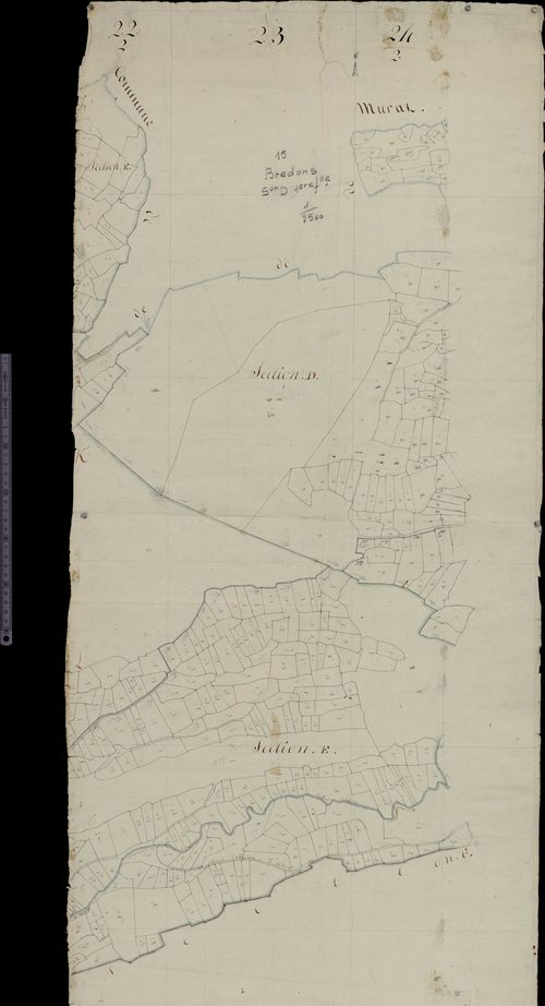 Section D1