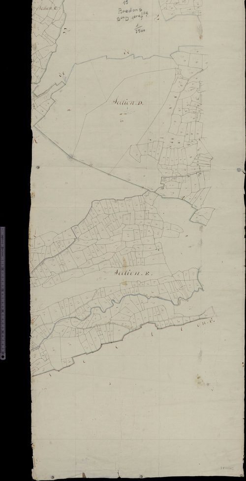 Section D1