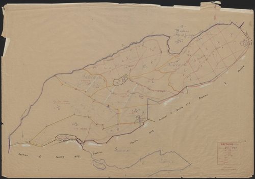 Section D1