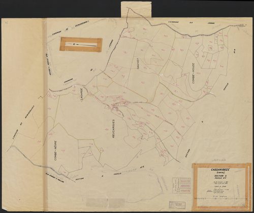 Section D1