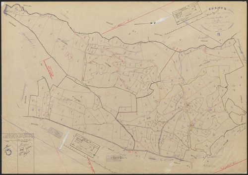 Section B : 1ère feuille et 3e feuille