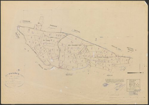 Section C2