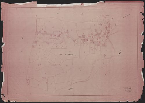 Section AD