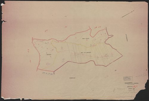 Section AP