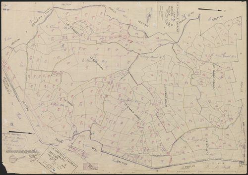 Section G : 2e et 3e feuilles