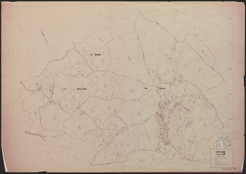 Section AB