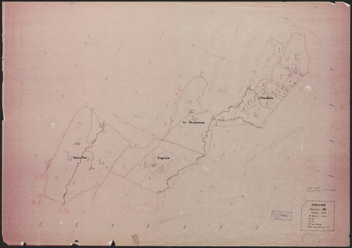 Section AE